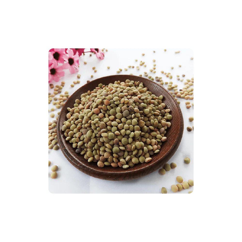 Lentils High Quality Bulk Dried whole split Lentils Red Green Lentils Supplier and Exporter