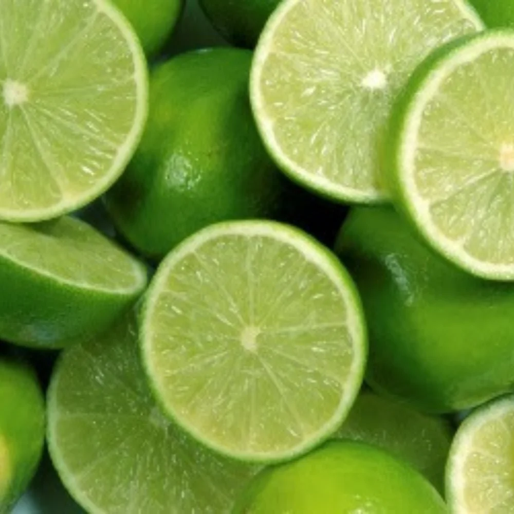 [Hot Sale 2022] Fresh Seedless Lime Lemon With Top Quality Wholesale Cheap Price From Vietnam