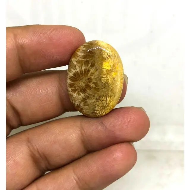 Fossilized Coral Natural cabochon stone crystals chakra healing energy for decoration  for gift handmade hand polish bulk sale