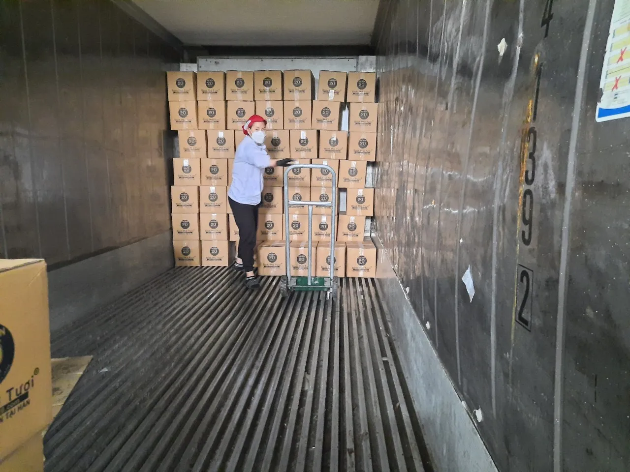 dry vermice instant noodles  rice and salt food  fresh food from hai duong viet nam