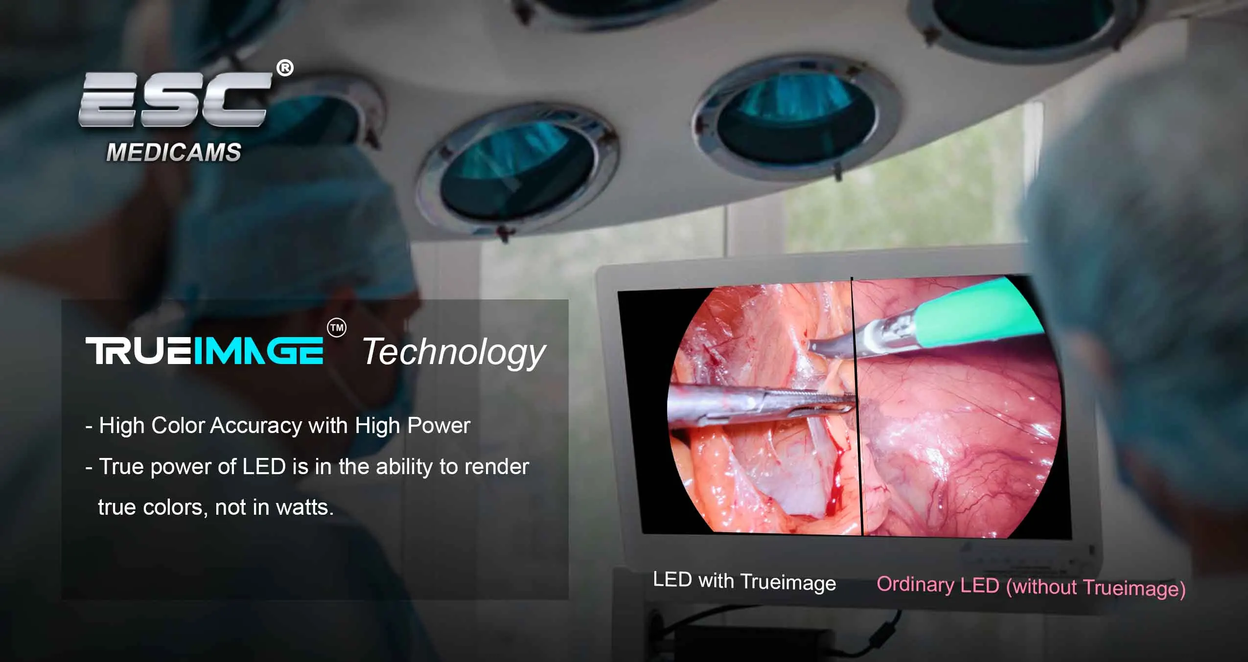 Endoscope Medical Portable Cold LED Light Source 120W for Endoscopy Laparoscopy with Storz-type Fiber Optic Cable