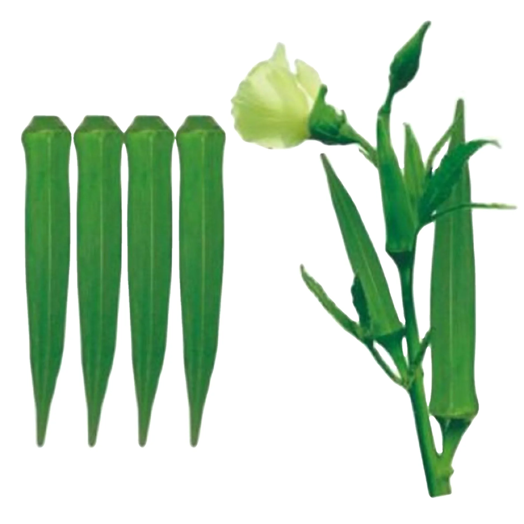 Top exporters for Okra(Op) Verity for for consumption Okra Arka Anamika / Okro exporting company production company