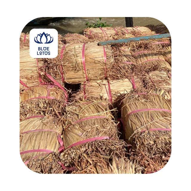 Dried Water Hyacinth Natural