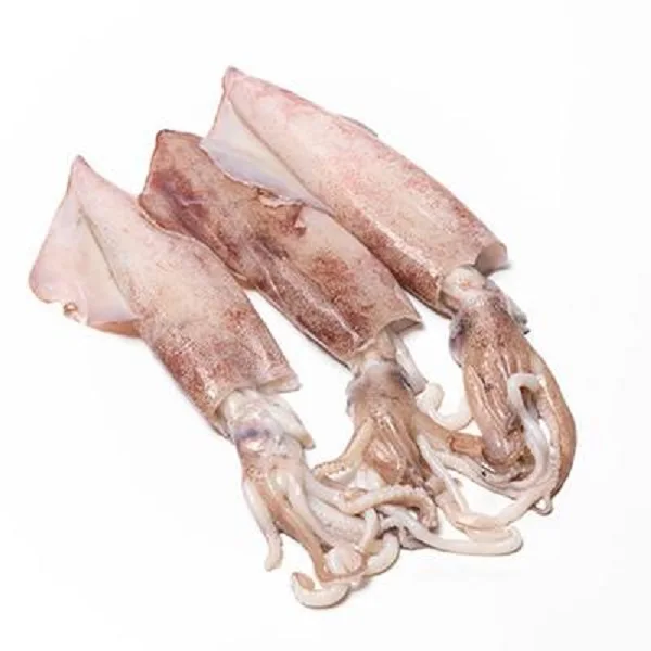 Качественная сертифицированная свежая продукция тентесламы замороженный весь гигантский кальмар по оптовой цене