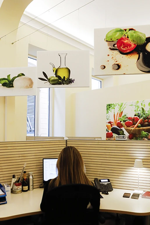 Top quality italian food dairy products 1 Kg frozen cow julienne mozzarella strech milk cheese for pizza