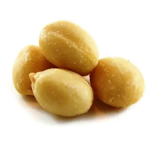 low price Crispy Nuts Snacks Flour Coated Roasted Peanuts China Sale Bag Origin Red Skin Peanut Top Grade Peanuts