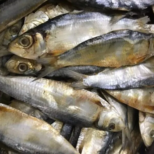 The best seller 100% Natural Dried Herring - Top quality Vietnam Seafood with the best price