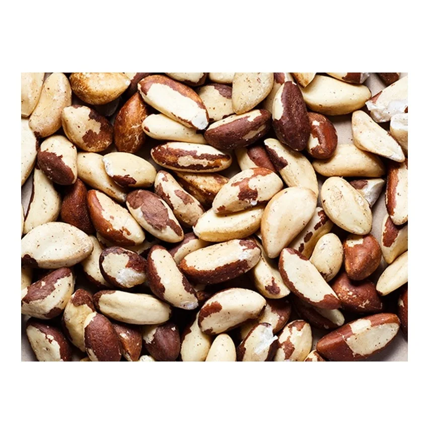 Wholesale Premium Organic Toasted Brazil Nuts With Shell for Snacks