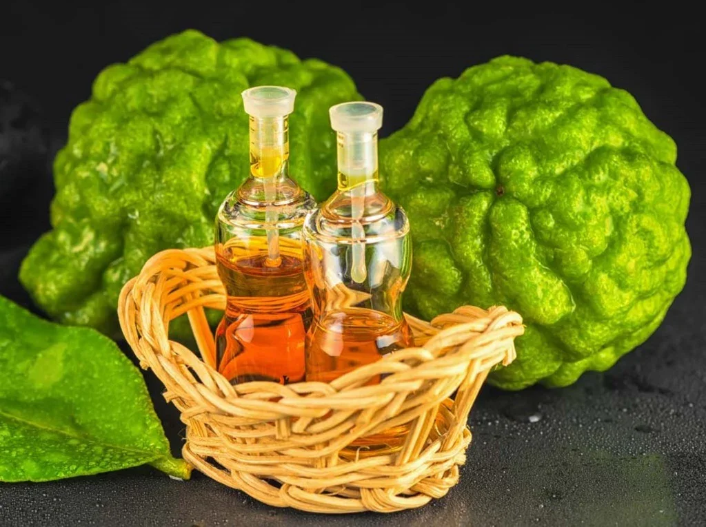 Pure Natural Bergamot Oil with Anti-Bacterial Properties Essential Oil Fight Bacterial Infection Available Wholesale Price India