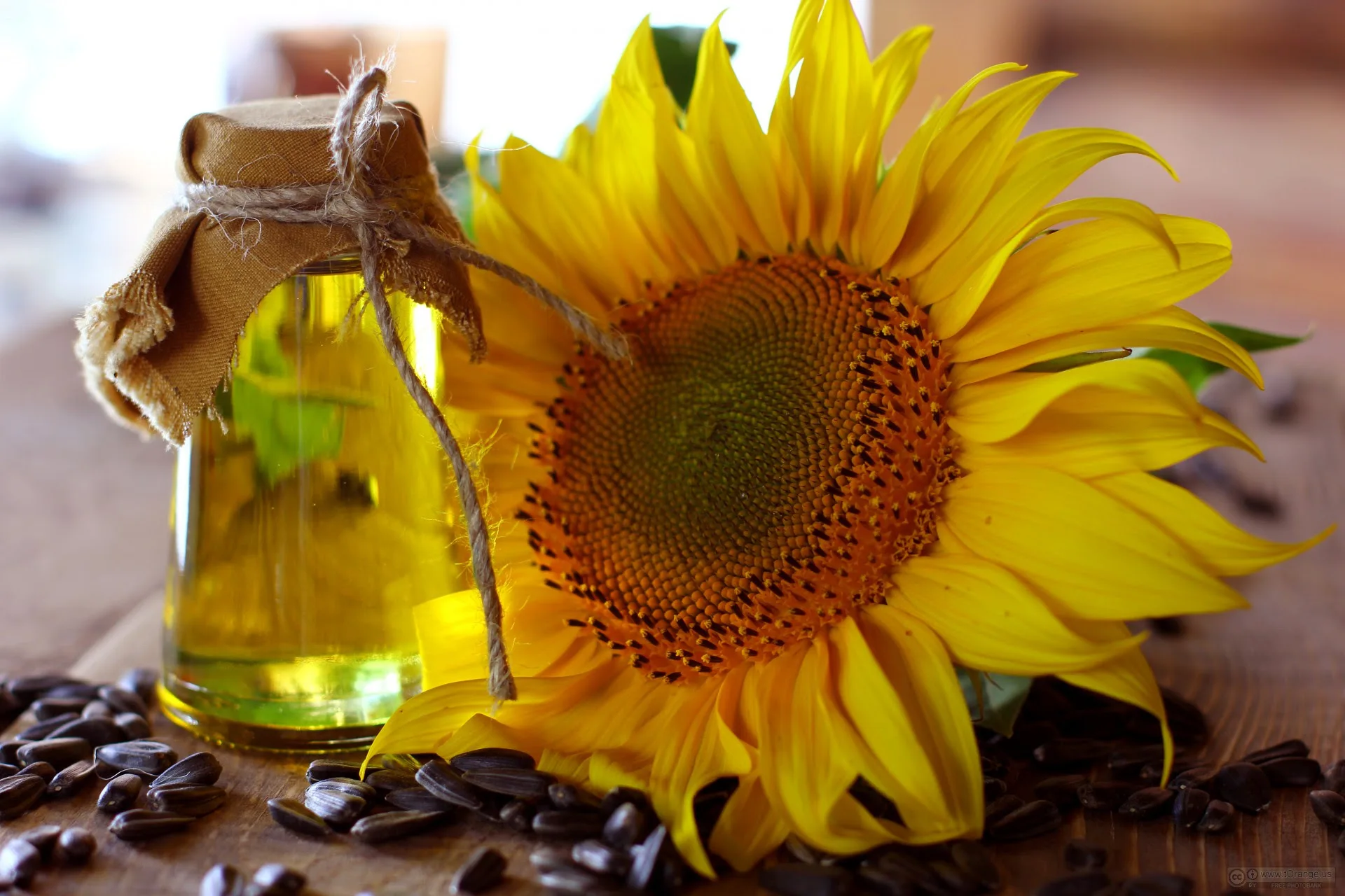 Cheapest Price Edible Sunflower Oil / Sunflower Refined Oil / RBD Sunflower Oil Available Here For selling
