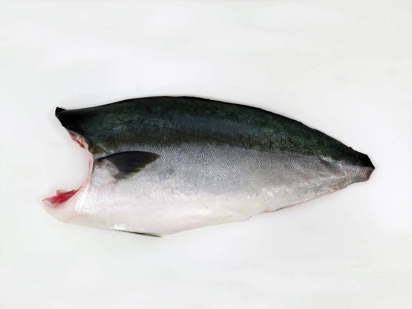 High End Buri Hamachi Yellowtail Fillet Fish Frozen Quality Wholesale Seafood