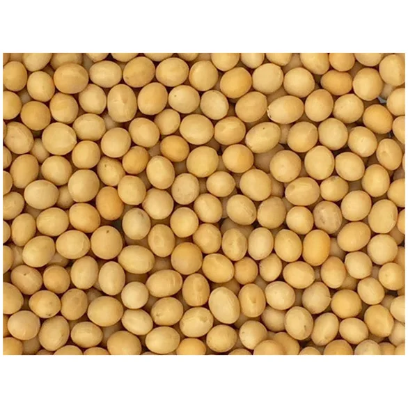 Высокое качество Non GMO желтые соевые бобы-соевые бобы/соевые бобы (8 0 мм)