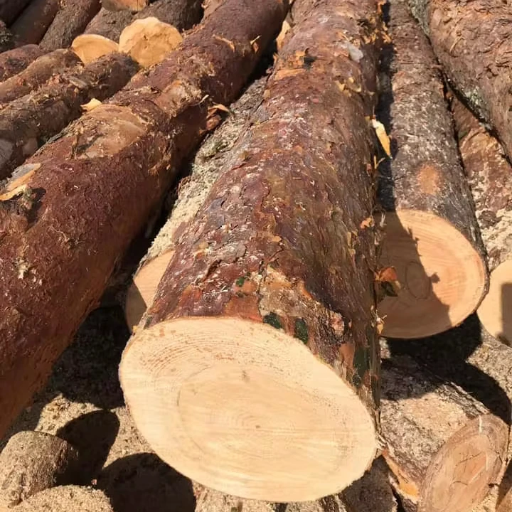 Pine Round Logs For Sale