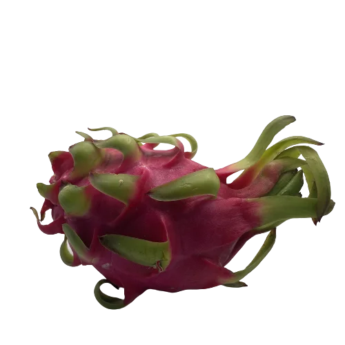 Dragon Fruit 100% Organic High Quality Healthy Viet Tropical Fruit Carton Box Vietnamese Manufacturer