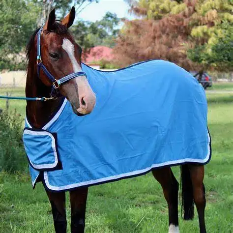 Summer Horse Combo Mesh Fly Hybrid Rug Purple Poly Cotton Strip Ribstop Standard Size Turnout Blanket Canvas Shell