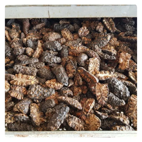 BEST PRICE DRIED NONI FRUIT - HIGH-QUALITY ORGANIC NONI WITH NATURAL FLAVOR FOR HEALTHY LIFESTYLE