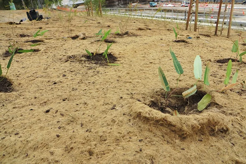 High Quality Jute Felt Made of Needle Punched Jute Fibers Used for Thermal Available at Wholesale Price from India