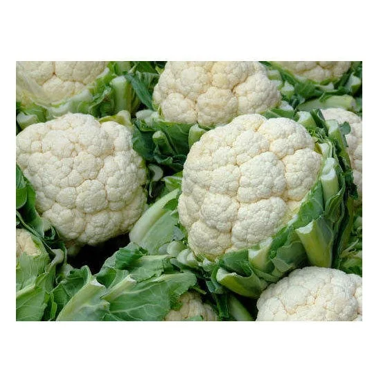 Top Quality Fresh Vegetables Cauliflower For Sale At Best Price