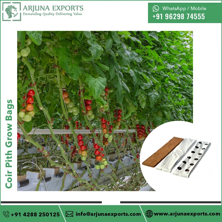 Top Quality Wholesale Coco Coir Pith Substrate Flowers and Vegetables Planting Grow Bags Use in Green Houses