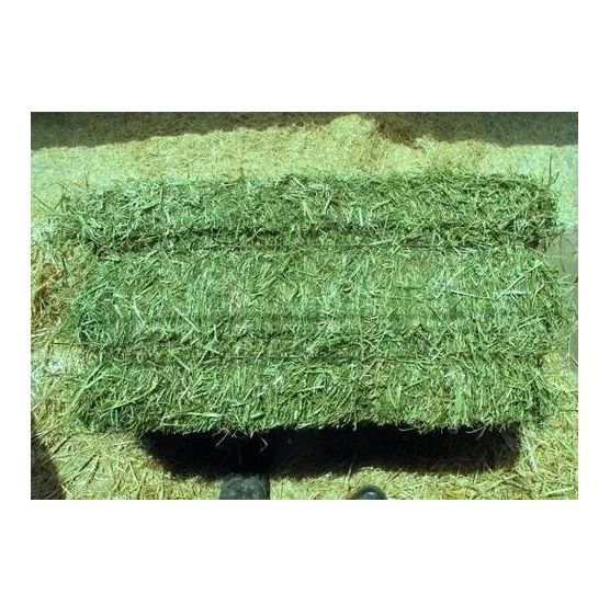 Turkish High Quality Alfalfa Hay Oats Hay For Sale / Best Selling Alfalfa Hay / Alfalfa Hay For Animal feed