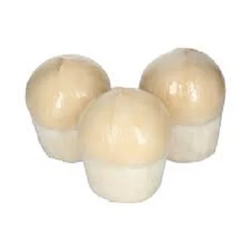 Fresh Young Coconuts Special Product With High Quality