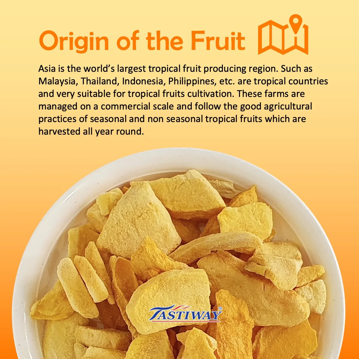 Top Selling Cheapest Price Malaysia Premium Natural Fresh Mango Yellowish Color Freeze Dried Food Slice Shape 0.02kg Weight