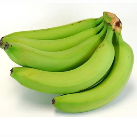 Wholesale Good Quality Competitive Price Delicious Flavor FRESH Natural Green Cavendish Bananas Lowest Price Fresh For Sale