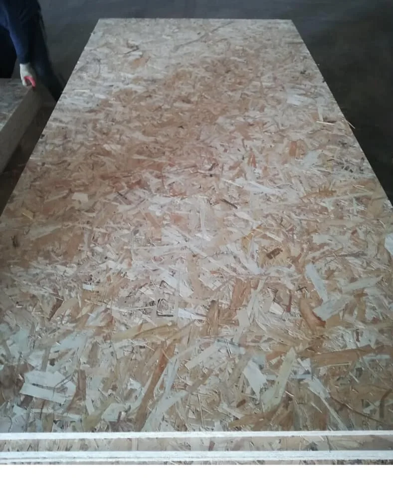 OSB Board for Construction