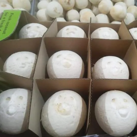 [Best Selling 2022] Top Quality Wholesale Good Price Organic Fresh Young Coconut From Viet Nam