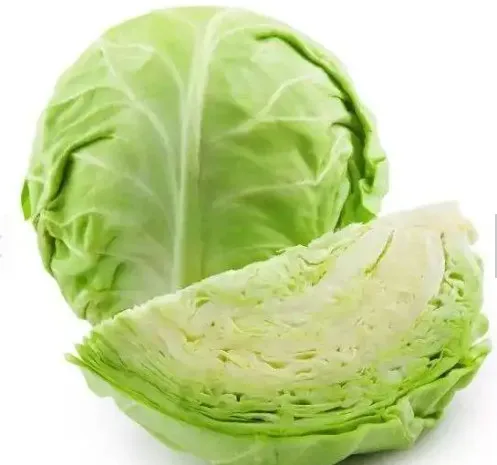 100% High Quality Organic Cabbage Vietnam manufacturer wholesale cheap fresh green cabbage 2023