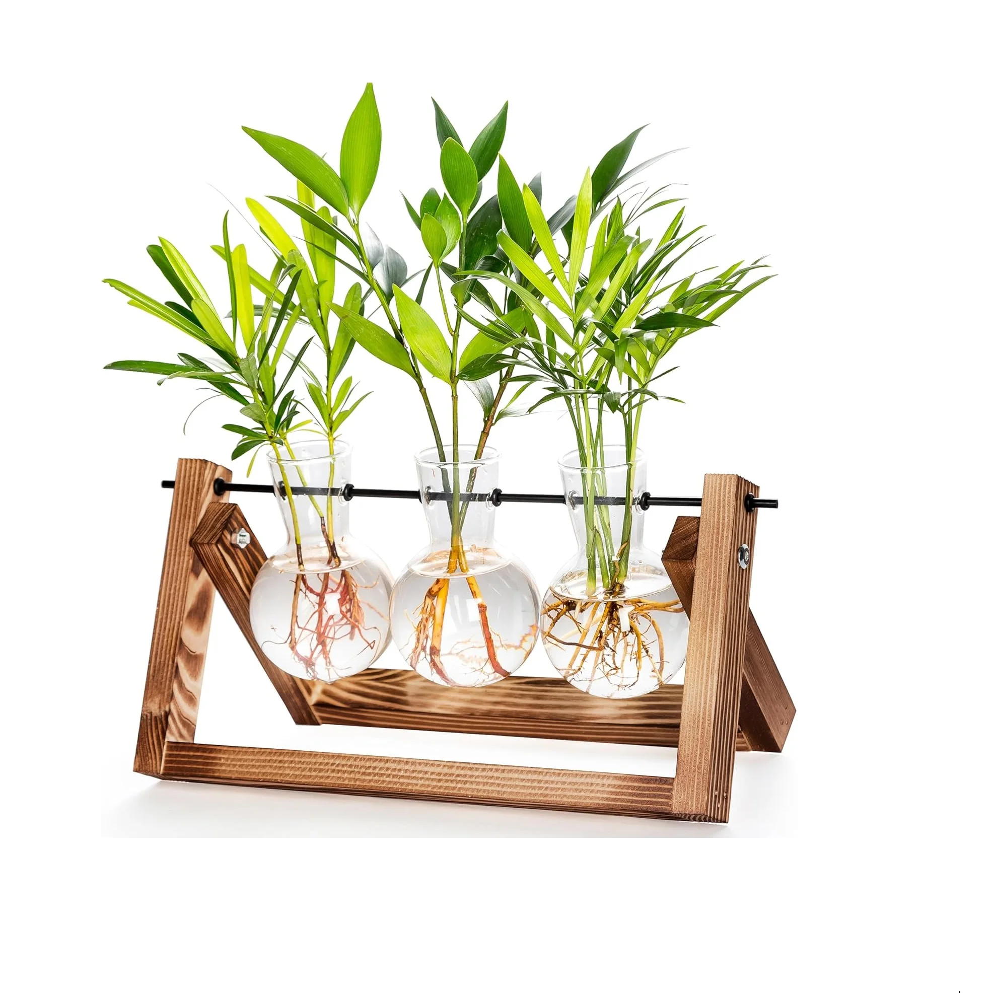 CFMOUR Bulk Supplier Air Plant Terrarium with Wooden StandPropagation Stations Glass Flower Pot for Home Decoration