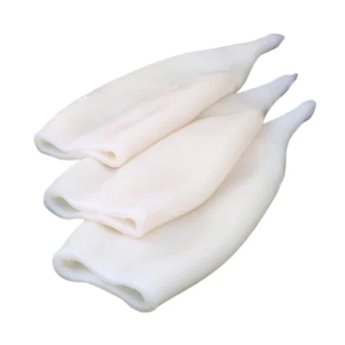 Frozen Squid Tube u5  Original Quality Supplier