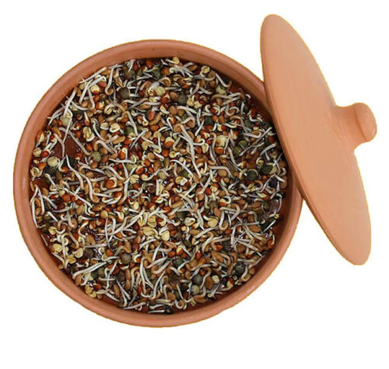 2024 Sprouting Ceramic Tray Ceramic Seed Sprouting Tray Clay Sprouting Pot Terracotta Clay Sprouter For Grain And Seeds