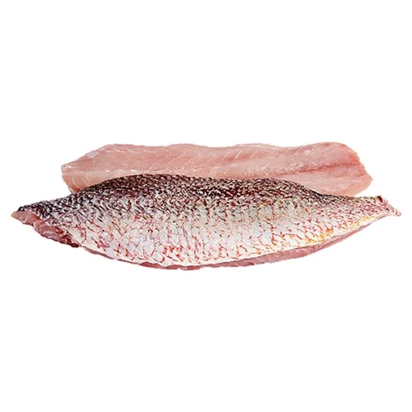 Purchase premium snapper fish at a discount