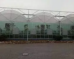 New Style Smart Aquaponics Greenhouse Complete Growing Systems For Multi-span Greenhouse