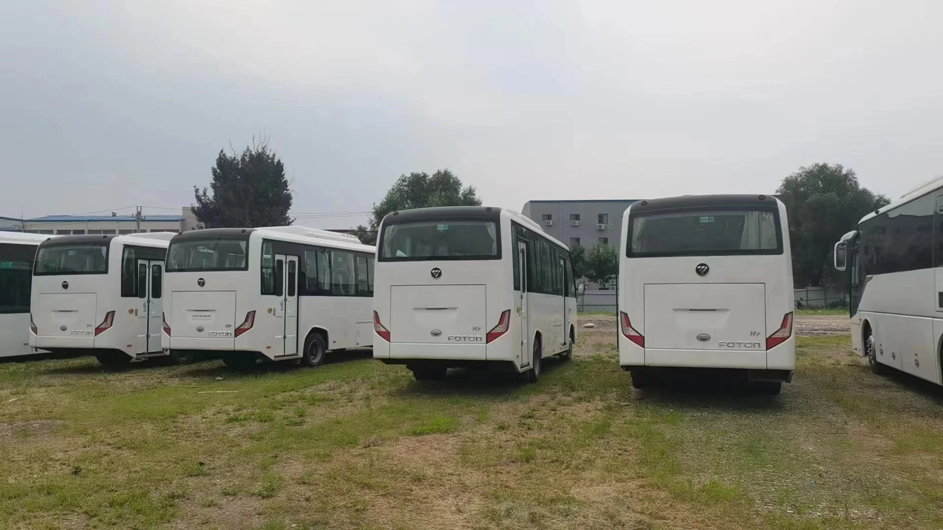2020 futon 20 Seat Luxury Bus Interior Tour Bus Available Second-Hand Coaches