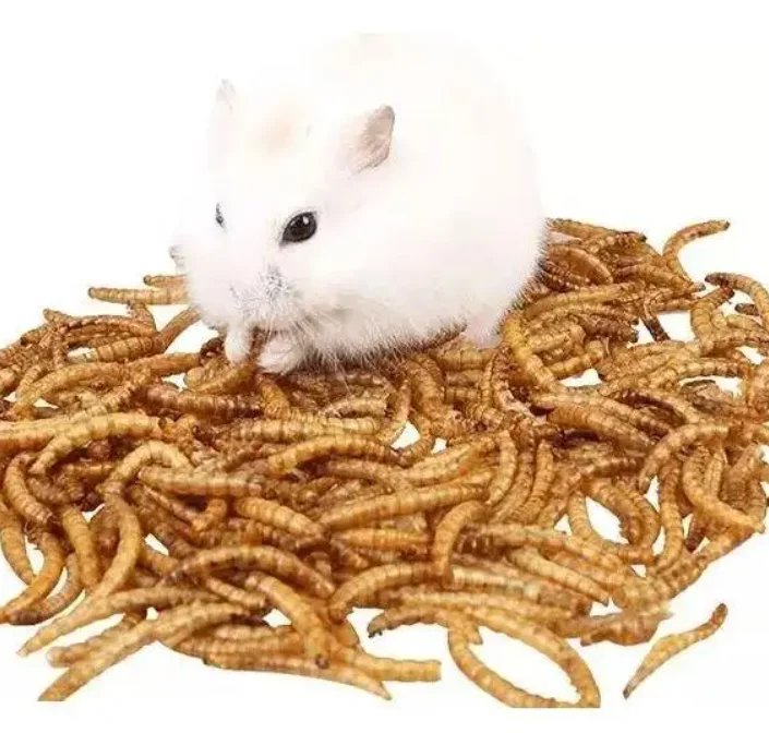 Wholesale 10 gram/Bag Freeze Dried Blood Worm Fresh Tropical Fish Discus Food Feeding Bloodworms For Fish Pet Food