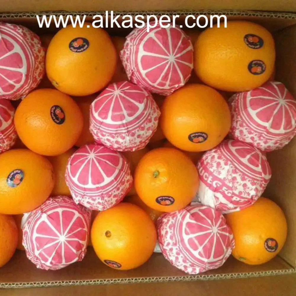 Fresh Navel Orange is now available for reservations wholesale (TOP QUALITY) Special Discount
