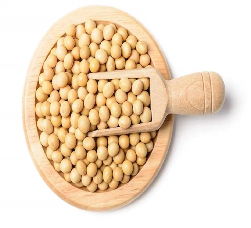 Wholesale GMO and Non GMO Soybean Cheap Price