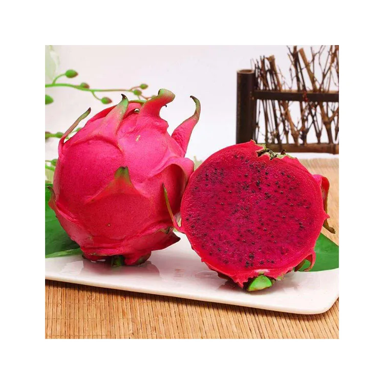 Dragon Fruit/ Fresh Dragon Fruit - 100% Organic Fruit From VietNam  Wholesale