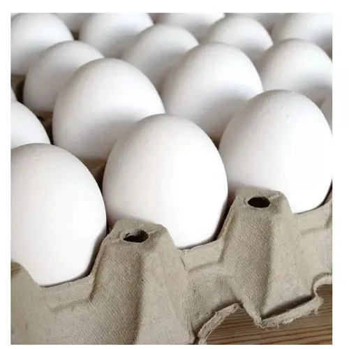 Лучшее качество, оптовая продажа оплодотворенных куриных яиц, 500 бройлеров, куриных яиц, свежих 700, плодородных яиц