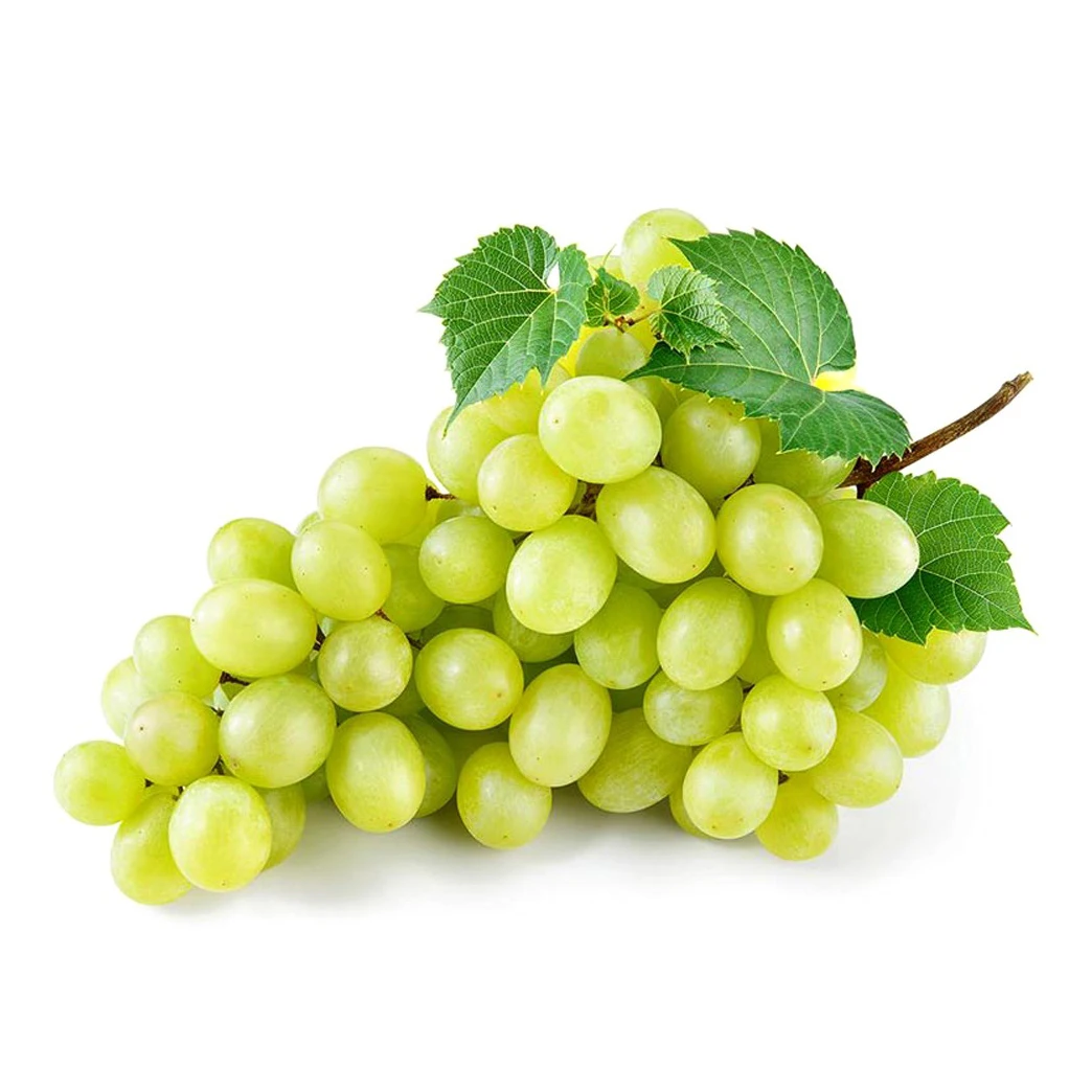 Best Quality New Fresh Green Grapes Crimson Seedless Fresh Fruit Grape for Export Fine starts with good grapes