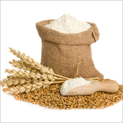 Premium Quality Turkey Wholesale Wheat Flour Best Price Flour from Turkey Flour Wheat Agricultural Products