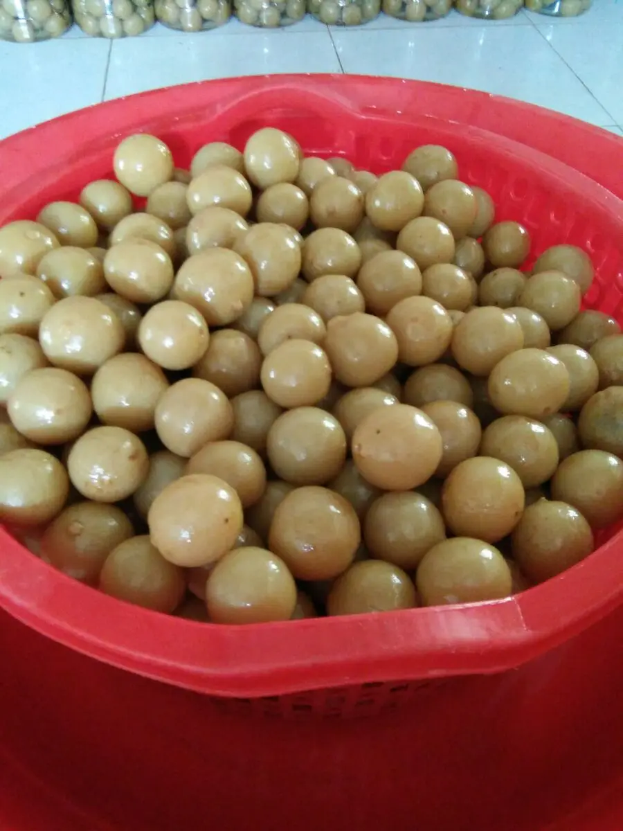 PRESERVED LEMON SALTED LIME PICKLED LEMON FOR EXPORT MADE IN VIETNAM
