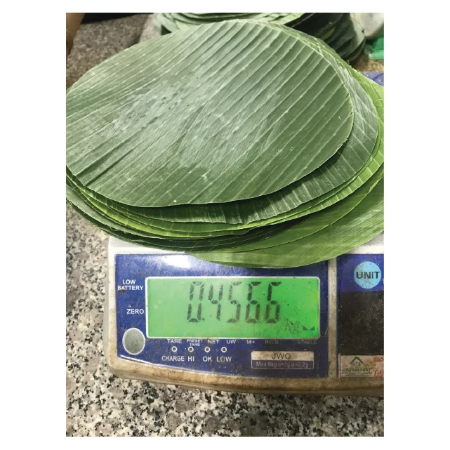 Wholesale Cheap Fresh Frozen Green Banana Leaf
