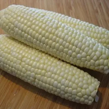 Premium Non-GMO White Maize - Bulk Grain for Human Consumption