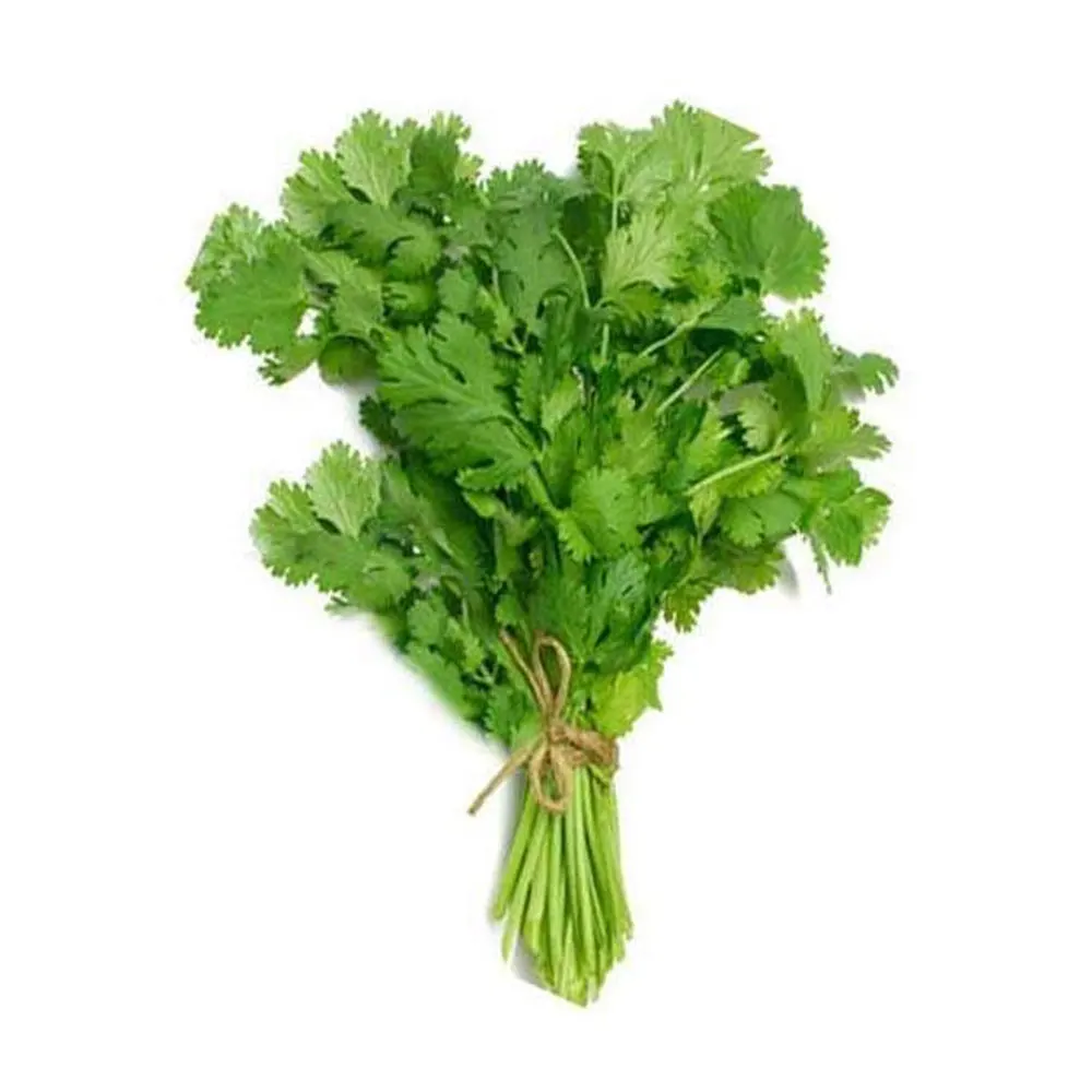 Hot Sale Best Suppliers Coriander Herbs Products Coriander Food Seasonings Coriander