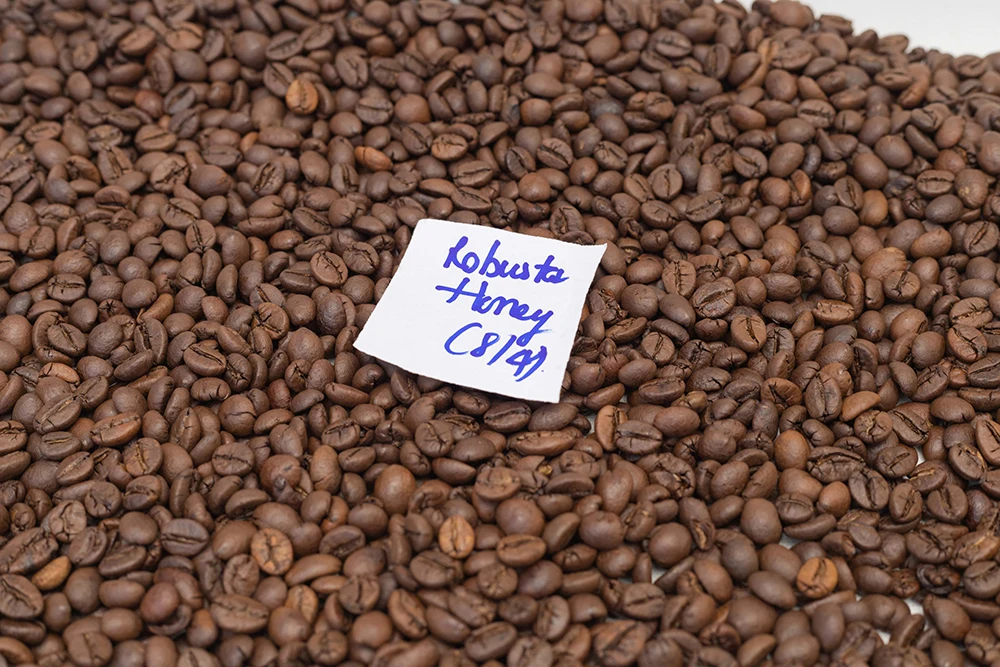 Arabica Coffee Beans Size 16,18