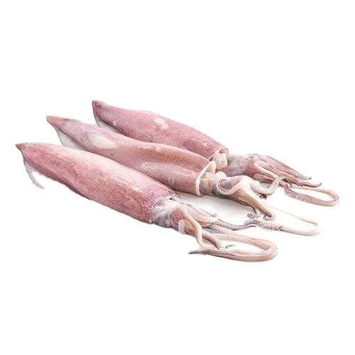 Свежий лаолиго кальмар свежий во Вьетнаме вкусный праздничный