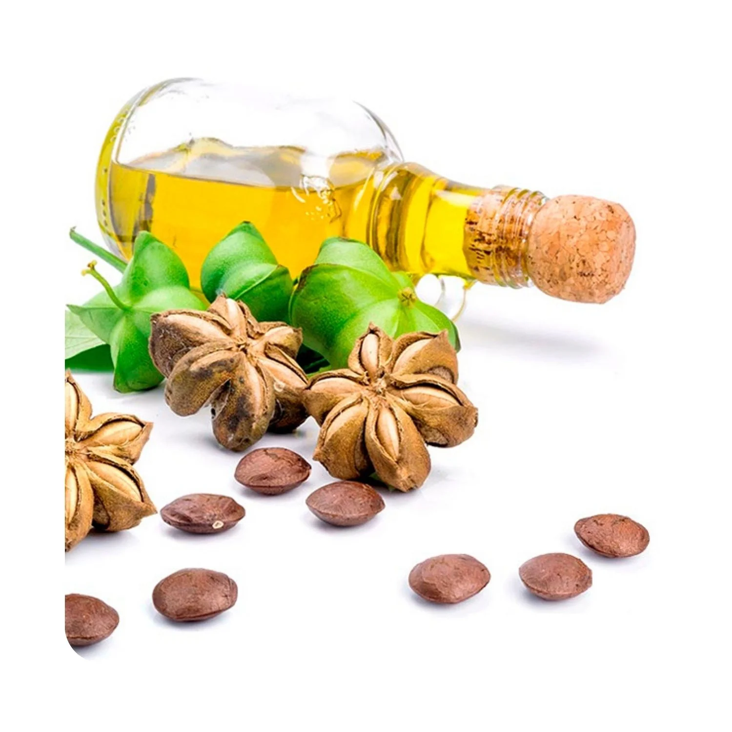 Поставщик масла Sachi Omega 3 6